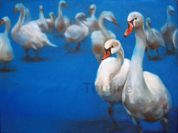 swan lake canvas print