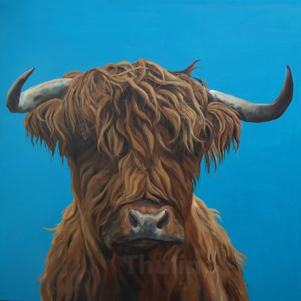highland cow please canvas print