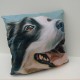 collie cushion