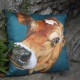 a beautiful day cushion