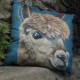 alpaca cushion