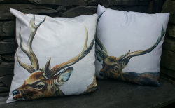 my deer cushion